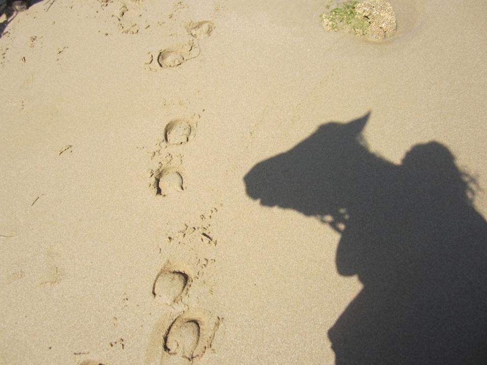 Moroccan In & Out - horseXperiences™ GO EQUESTRIAN