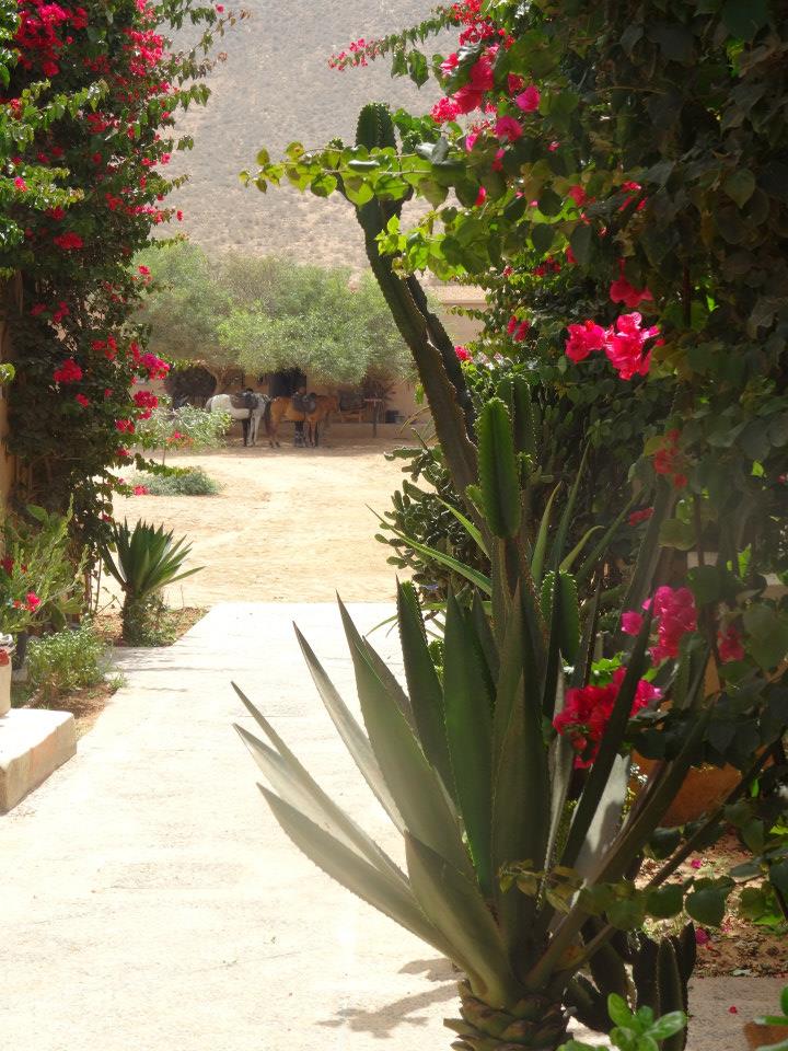 Moroccan In & Out - horseXperiences™ GO EQUESTRIAN