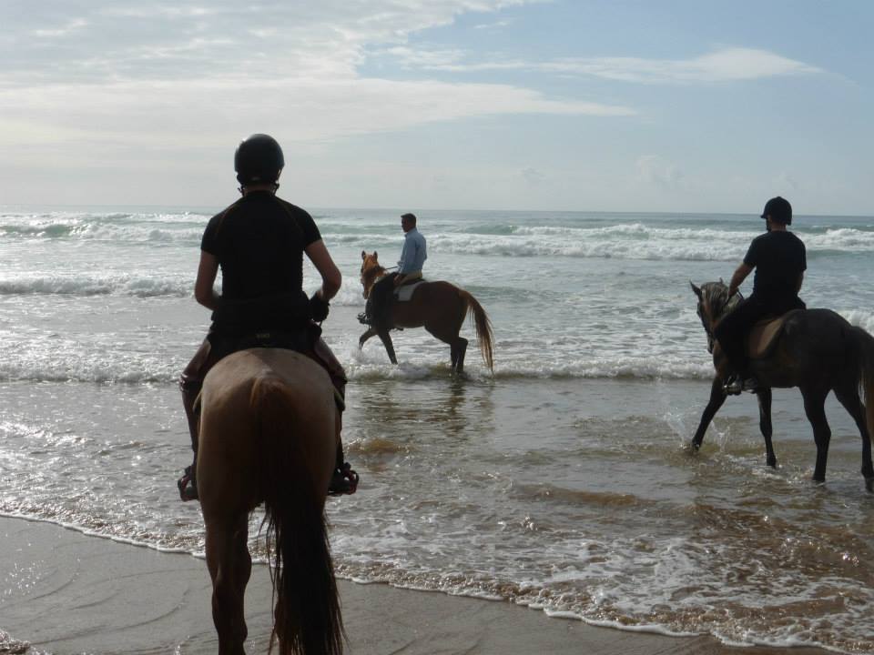 Moroccan In & Out - horseXperiences™ GO EQUESTRIAN