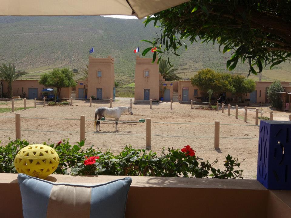 Moroccan In & Out - horseXperiences™ GO EQUESTRIAN