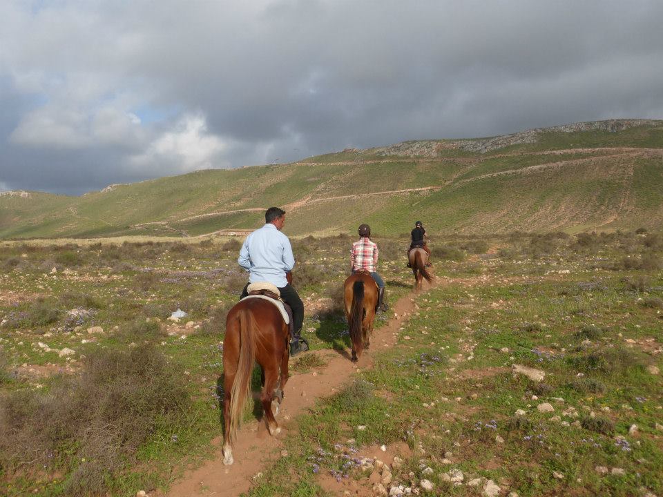 Moroccan In & Out - horseXperiences™ GO EQUESTRIAN