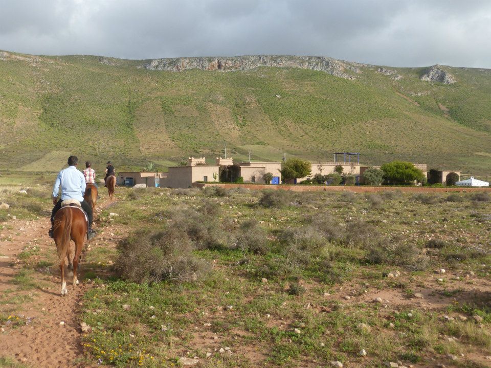 Moroccan In & Out - horseXperiences™ GO EQUESTRIAN