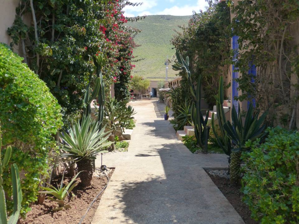 Moroccan In & Out - horseXperiences™ GO EQUESTRIAN