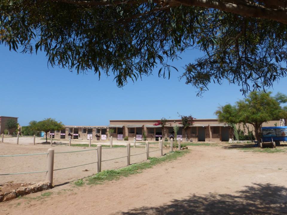 Moroccan In & Out - horseXperiences™ GO EQUESTRIAN
