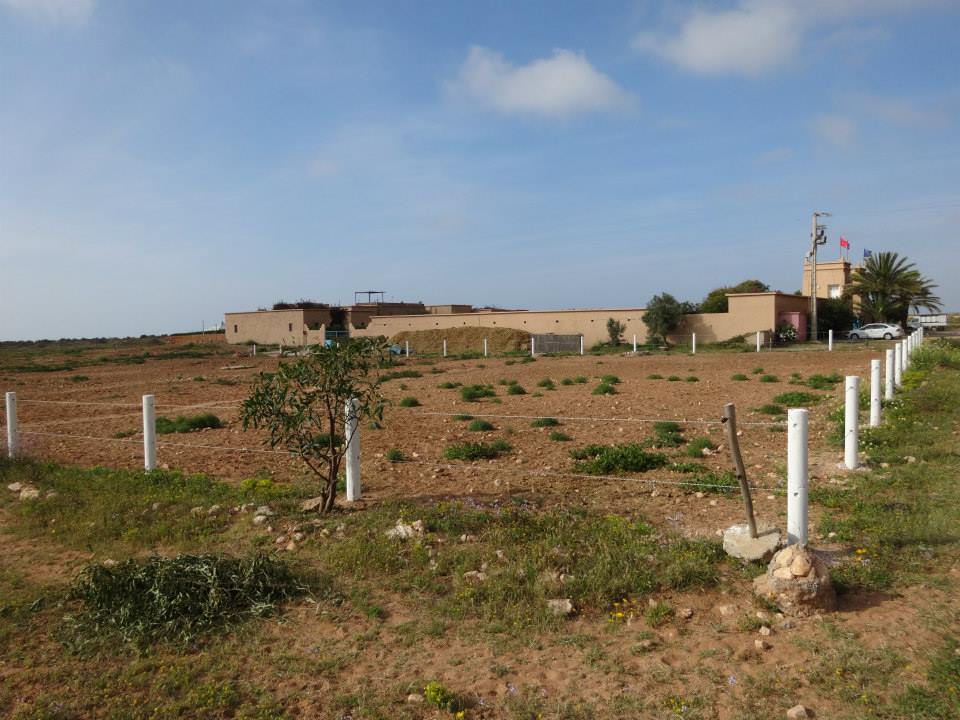 Moroccan In & Out - horseXperiences™ GO EQUESTRIAN