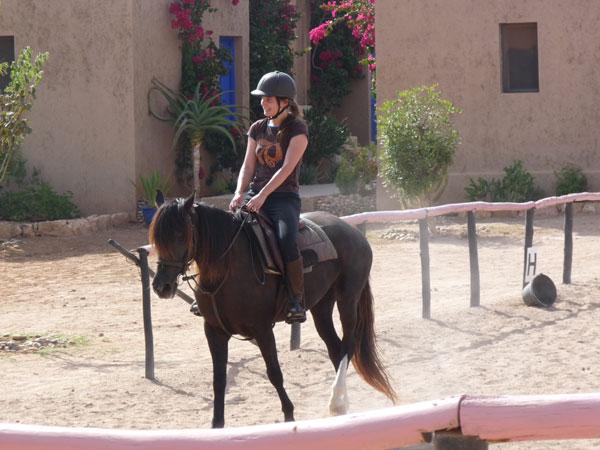 Moroccan In & Out - horseXperiences™ GO EQUESTRIAN