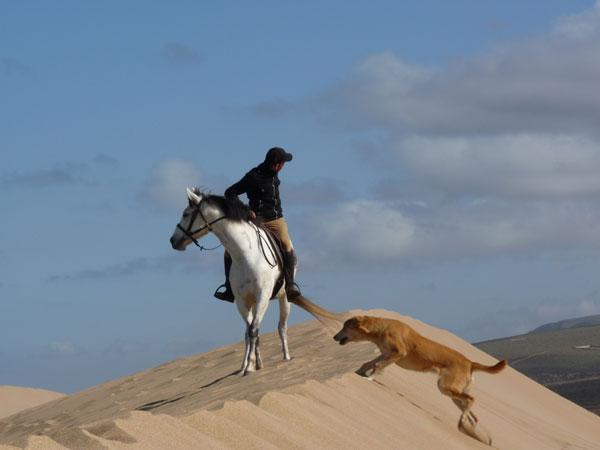 Moroccan In & Out - horseXperiences™ GO EQUESTRIAN