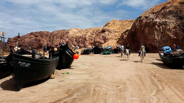 Moroccan In & Out - horseXperiences™ GO EQUESTRIAN