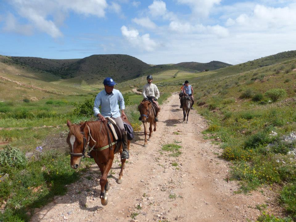 Moroccan In & Out - horseXperiences™ GO EQUESTRIAN