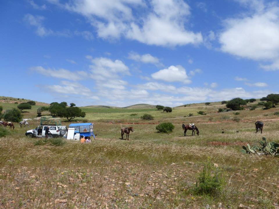 Moroccan In & Out - horseXperiences™ GO EQUESTRIAN