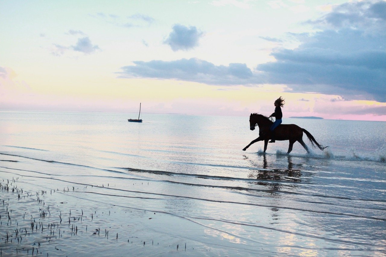 African Paradise - horseXperiences™ GO EQUESTRIAN