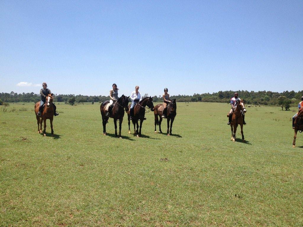 Nairobi Forests & Trails - horseXperiences™ GO EQUESTRIAN