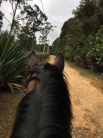 Nairobi Forests & Trails - horseXperiences™ GO EQUESTRIAN