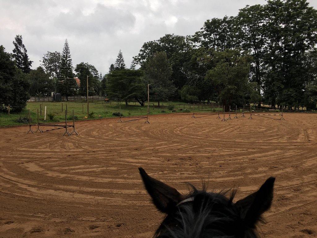 Nairobi Forests & Trails - horseXperiences™ GO EQUESTRIAN