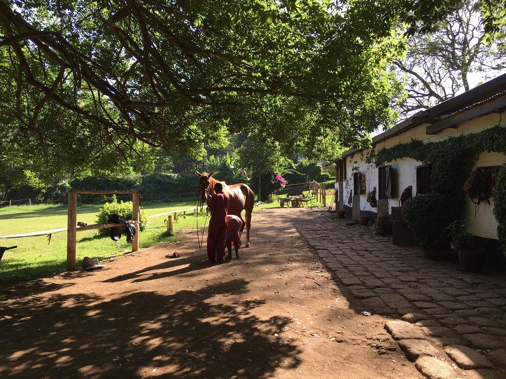 Nairobi Forests & Trails - horseXperiences™ GO EQUESTRIAN