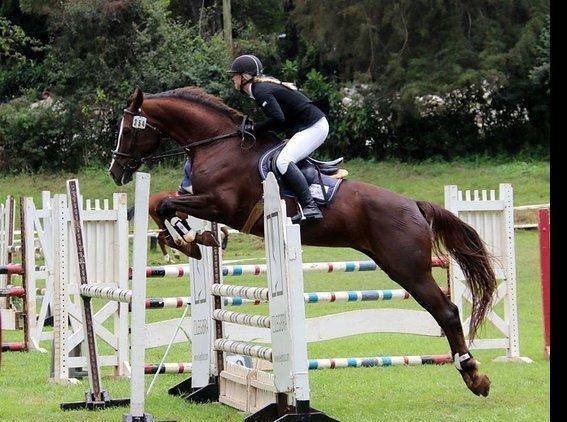 Nairobi Forests & Trails - horseXperiences™ GO EQUESTRIAN