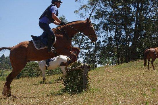 Nairobi Forests & Trails - horseXperiences™ GO EQUESTRIAN
