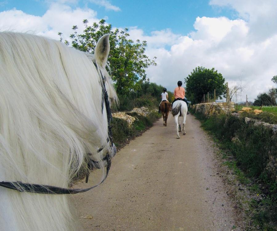Spanish Dream - horseXperiences™ GO EQUESTRIAN