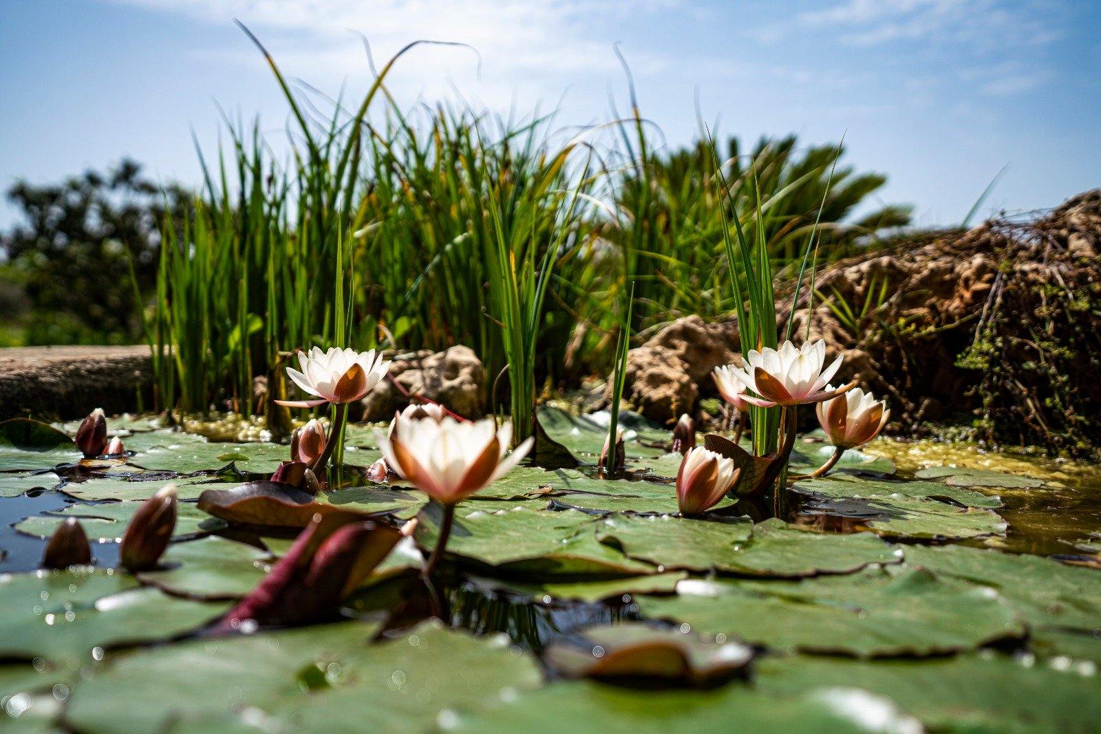 Spanish Dream - horseXperiences™ GO EQUESTRIAN