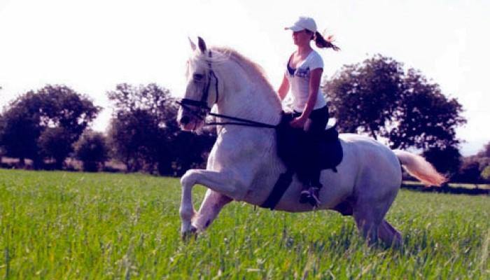 Spanish Dream - horseXperiences™ GO EQUESTRIAN
