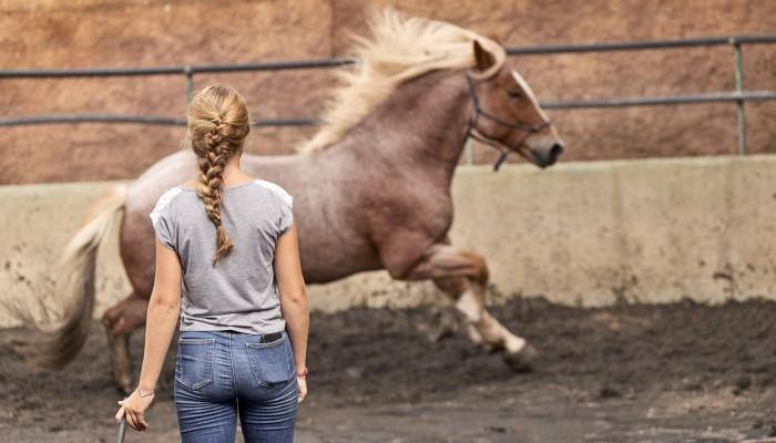 Spanish Dream - horseXperiences™ GO EQUESTRIAN