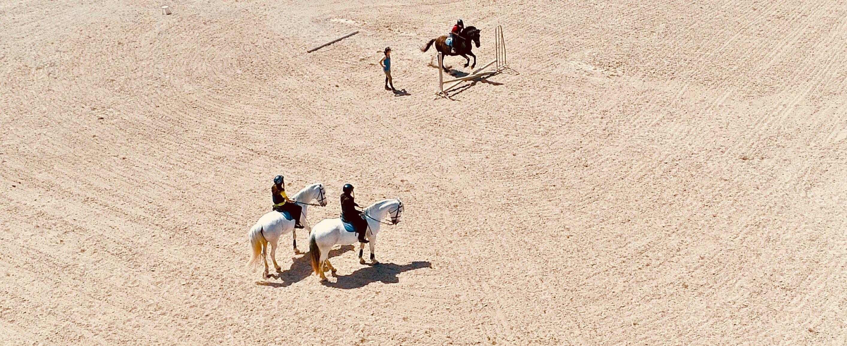 Spanish Dream - horseXperiences™ GO EQUESTRIAN