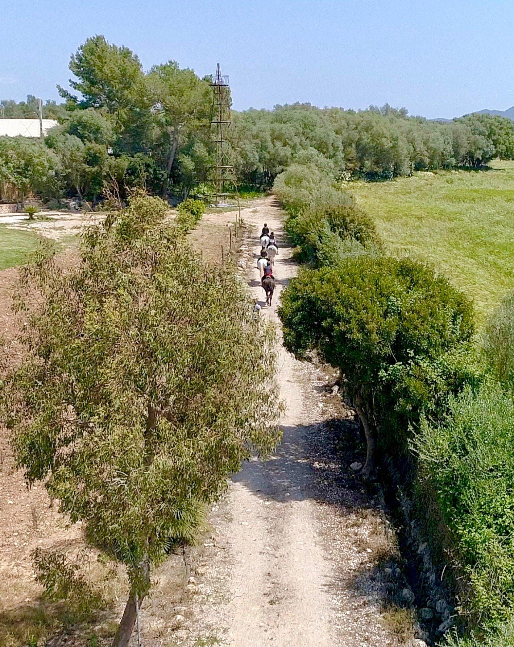 Spanish Dream - horseXperiences™ GO EQUESTRIAN