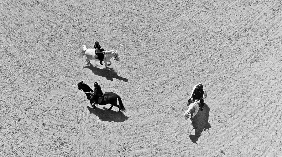 Spanish Dream - horseXperiences™ GO EQUESTRIAN