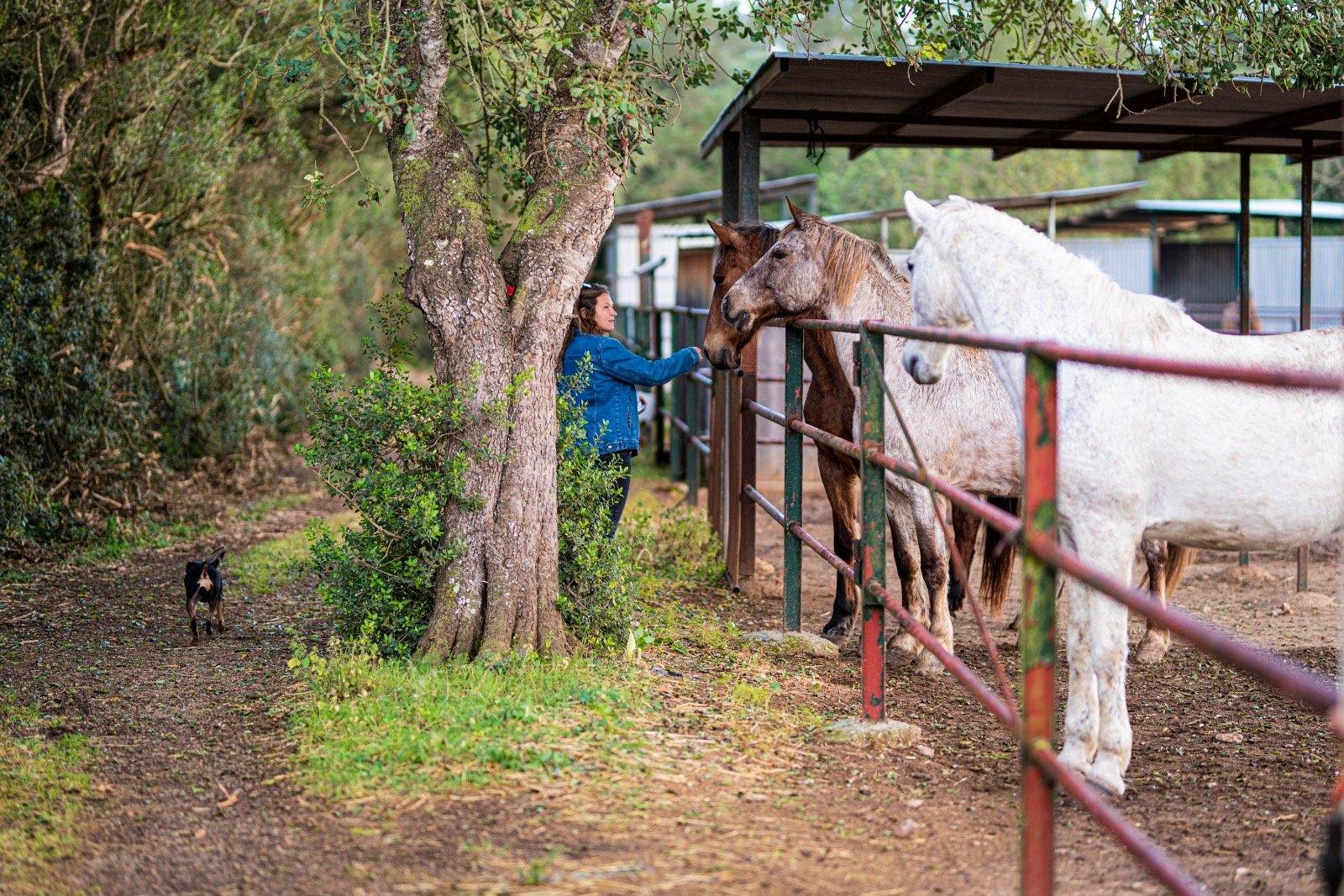 Spanish Dream - horseXperiences™ GO EQUESTRIAN