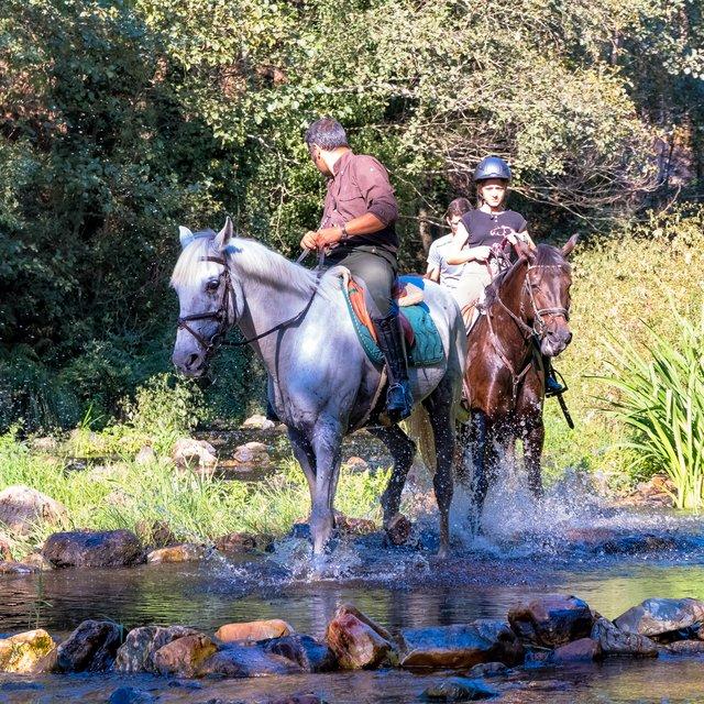 Porto Invictus Trails - horseXperiences™ GO EQUESTRIAN