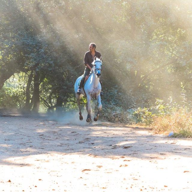 Porto Invictus Trails - horseXperiences™ GO EQUESTRIAN