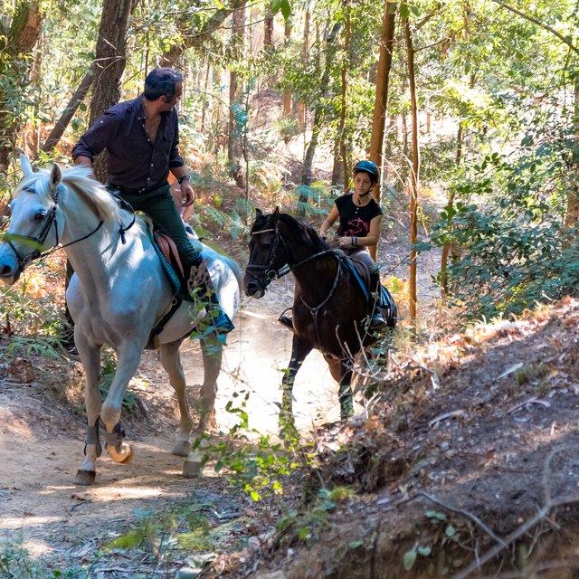 Porto Invictus Trails - horseXperiences™ GO EQUESTRIAN