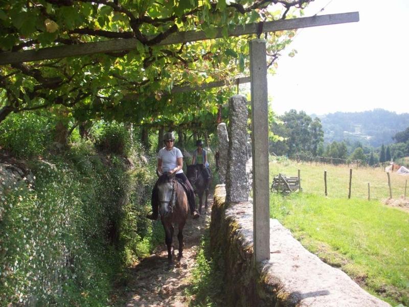 The Wild North Trail - horseXperiences™ GO EQUESTRIAN