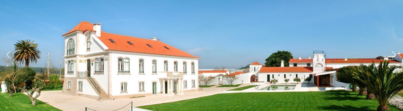Portugal's Finest - horseXperiences™ GO EQUESTRIAN