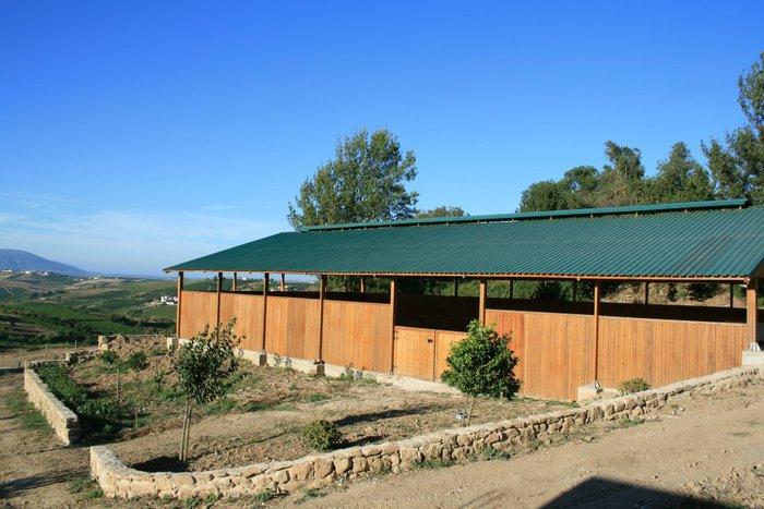 Lusitano Xperience - horseXperiences™ GO EQUESTRIAN