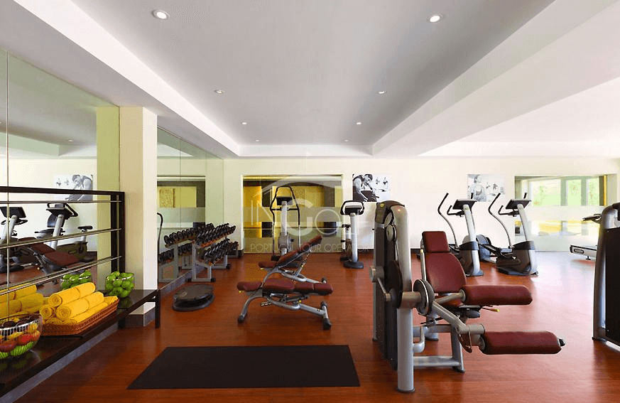 Lusitano Xperience - horseXperiences™ GO EQUESTRIAN