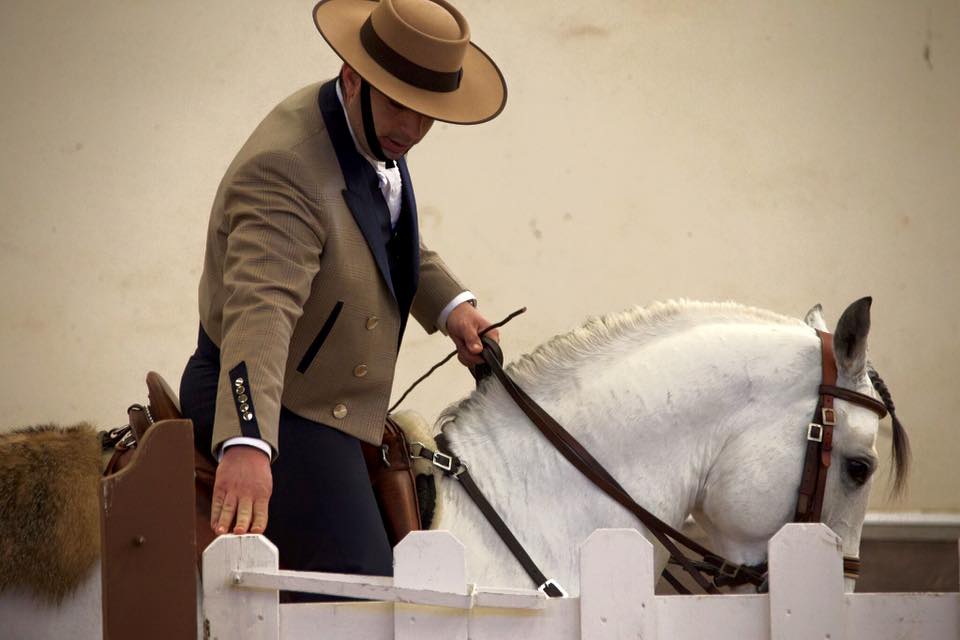 Lusitano Xperience - horseXperiences™ GO EQUESTRIAN