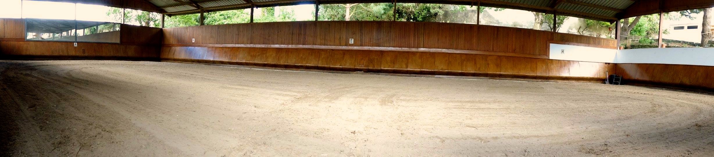 Lusitano Xperience - horseXperiences™ GO EQUESTRIAN