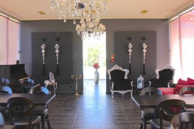 Lusitano Xperience - horseXperiences™ GO EQUESTRIAN