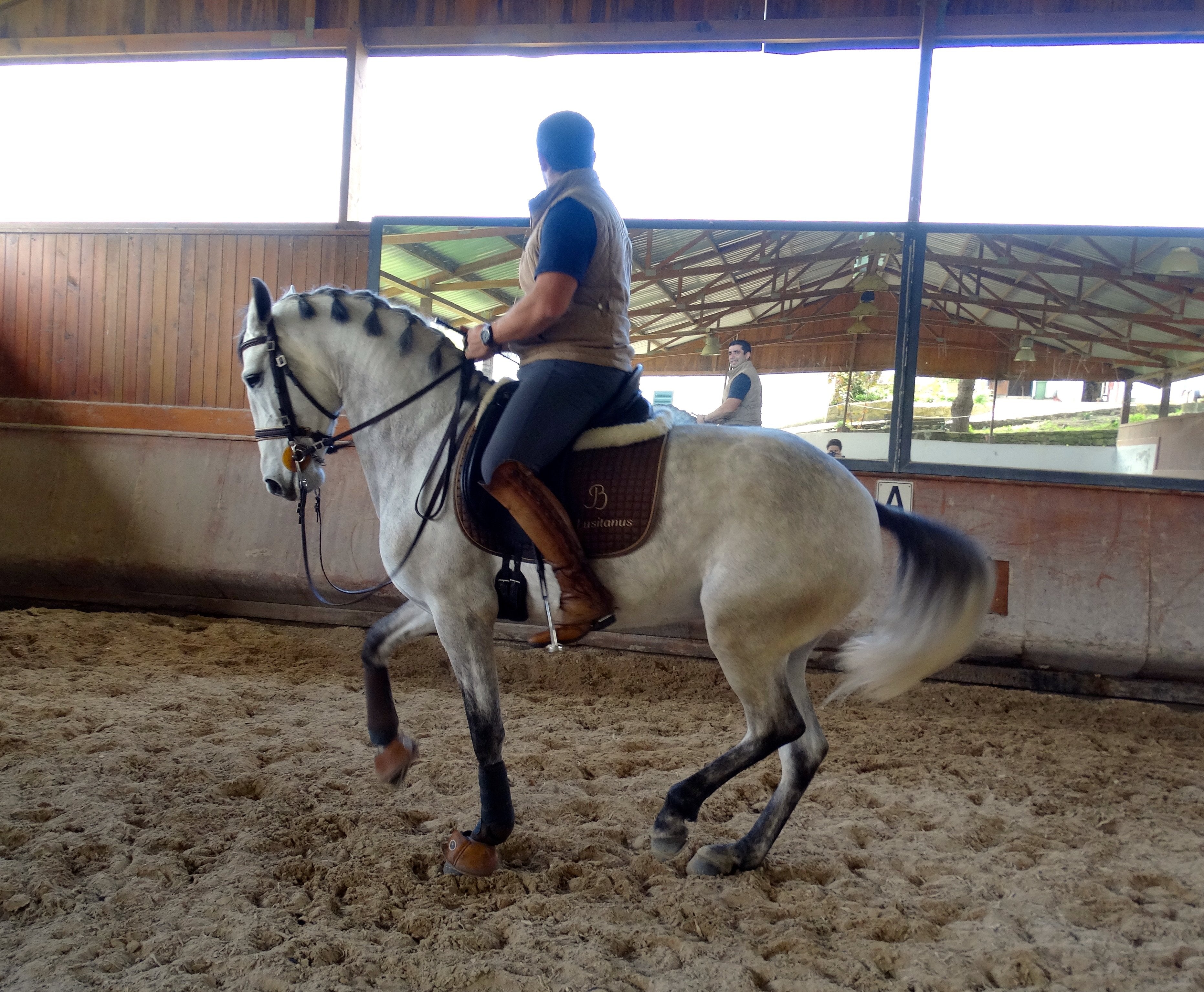 Lusitano Xperience - horseXperiences™ GO EQUESTRIAN