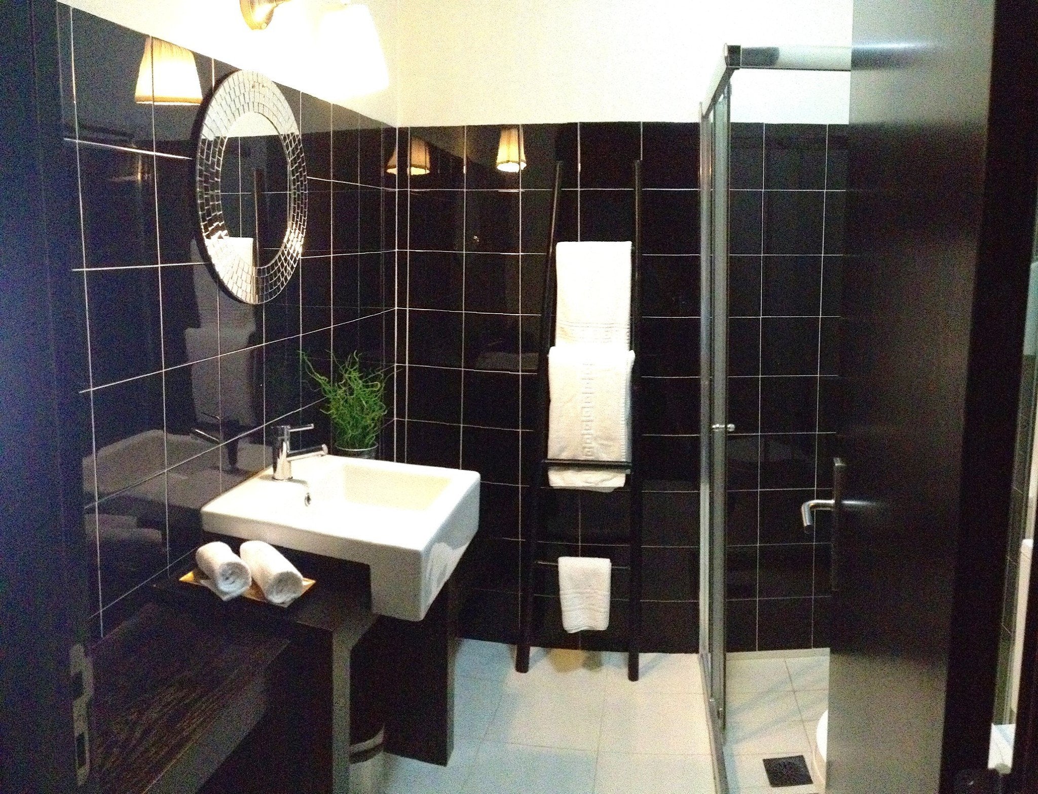 Lusitano Xperience - horseXperiences™ GO EQUESTRIAN