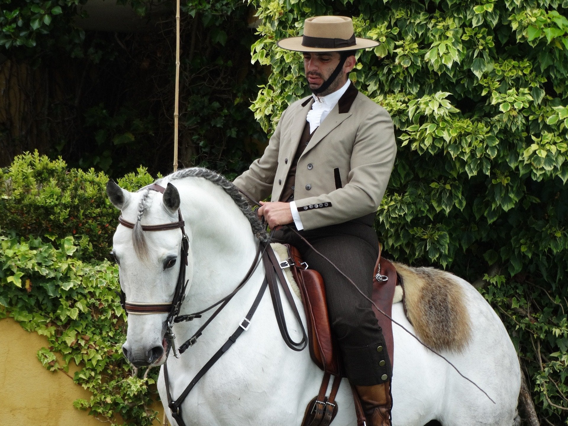 Lusitano Xperience - horseXperiences™ GO EQUESTRIAN
