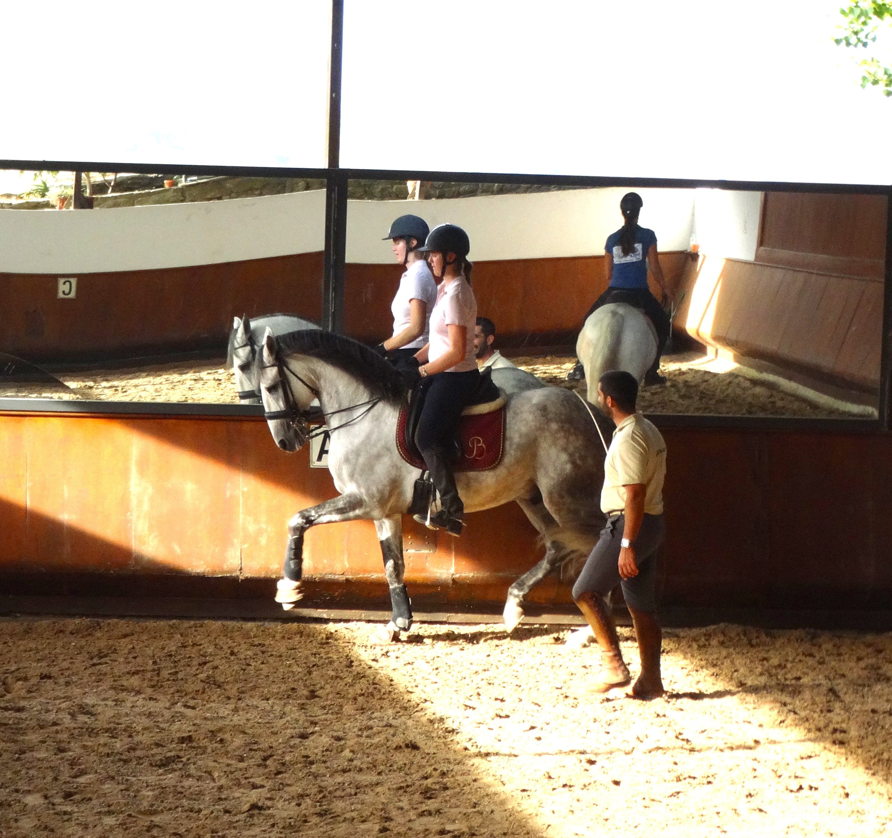 Lusitano Xperience - horseXperiences™ GO EQUESTRIAN
