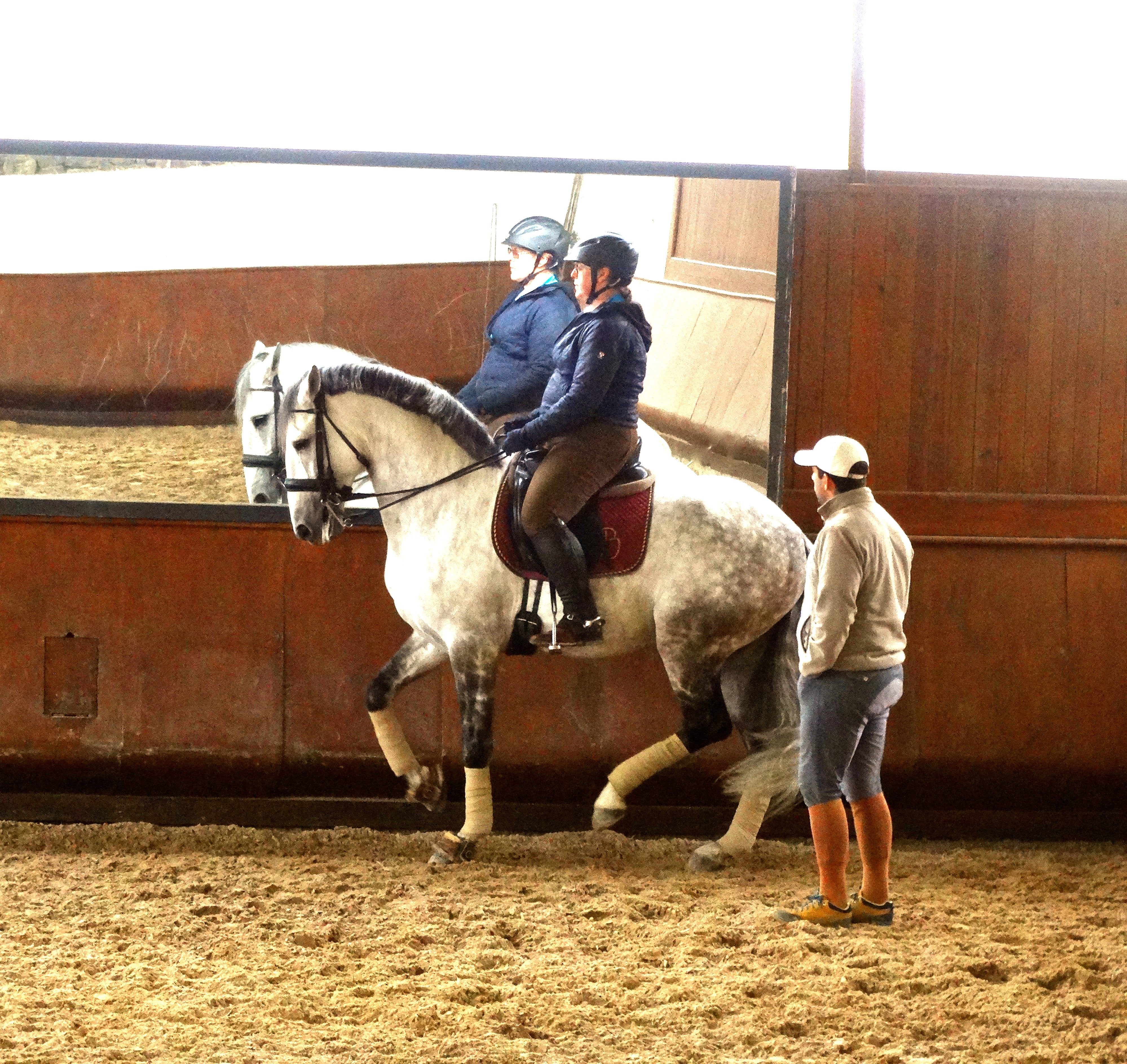 Lusitano Xperience - horseXperiences™ GO EQUESTRIAN