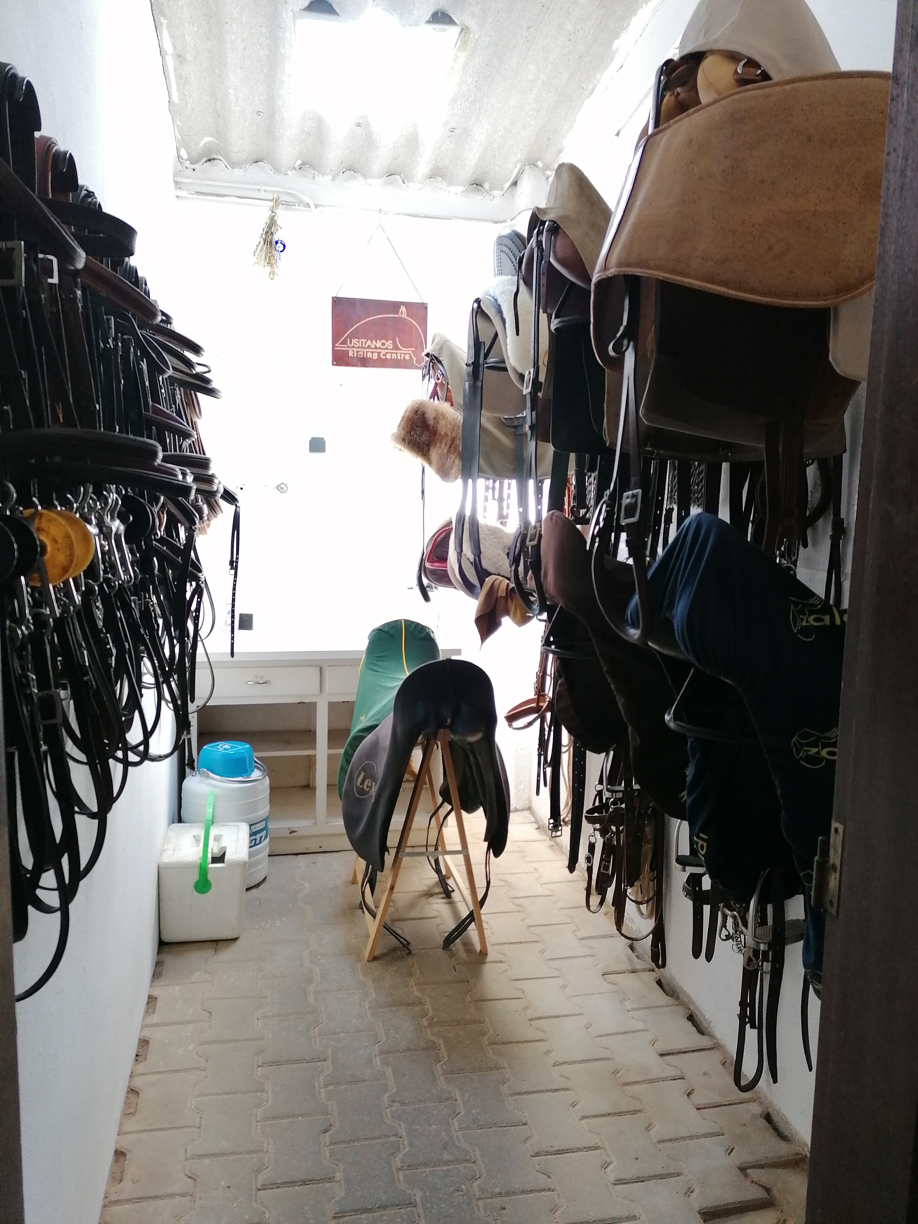 Lusitano Xperience - horseXperiences™ GO EQUESTRIAN