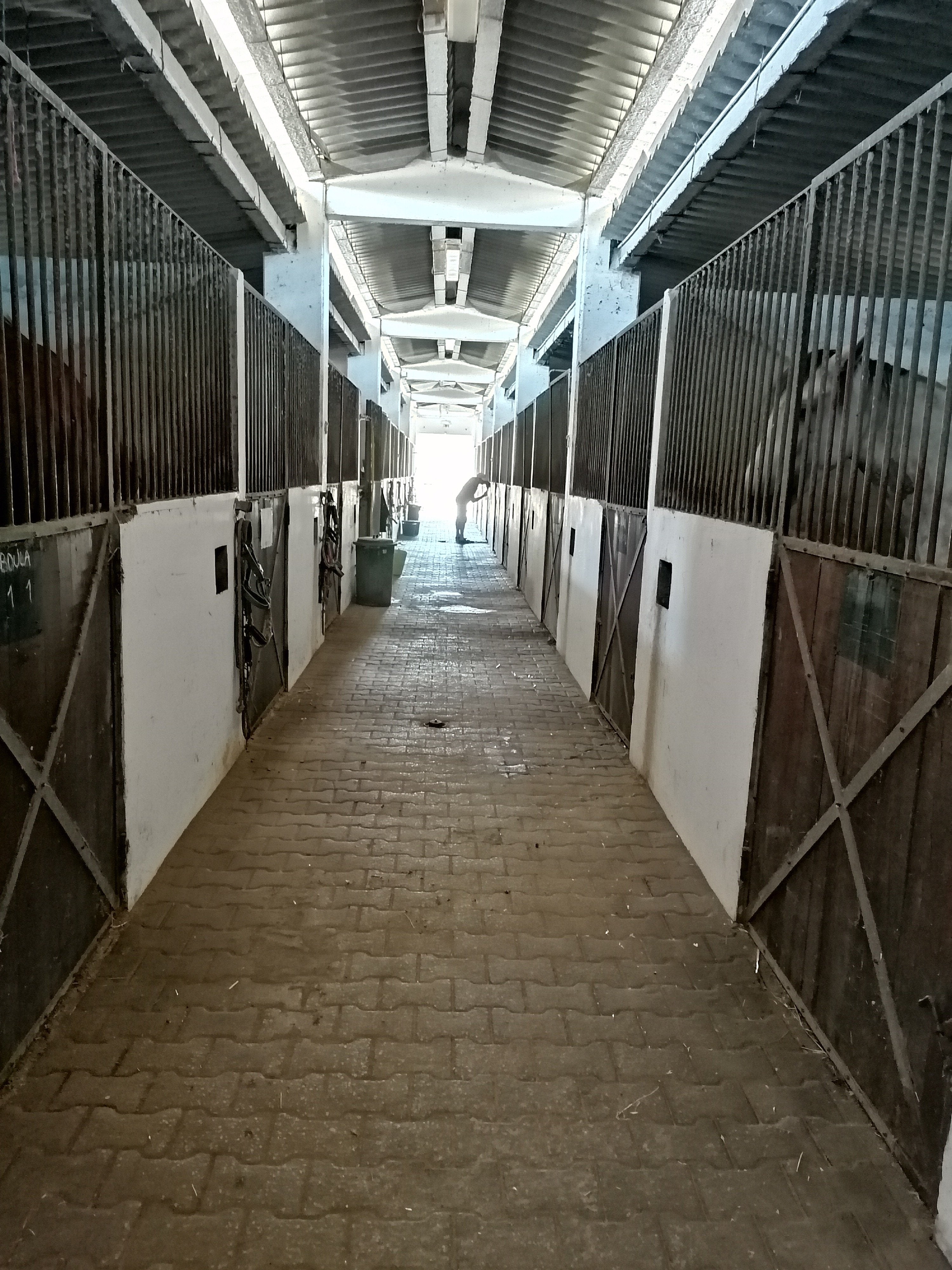 Lusitano Xperience - horseXperiences™ GO EQUESTRIAN