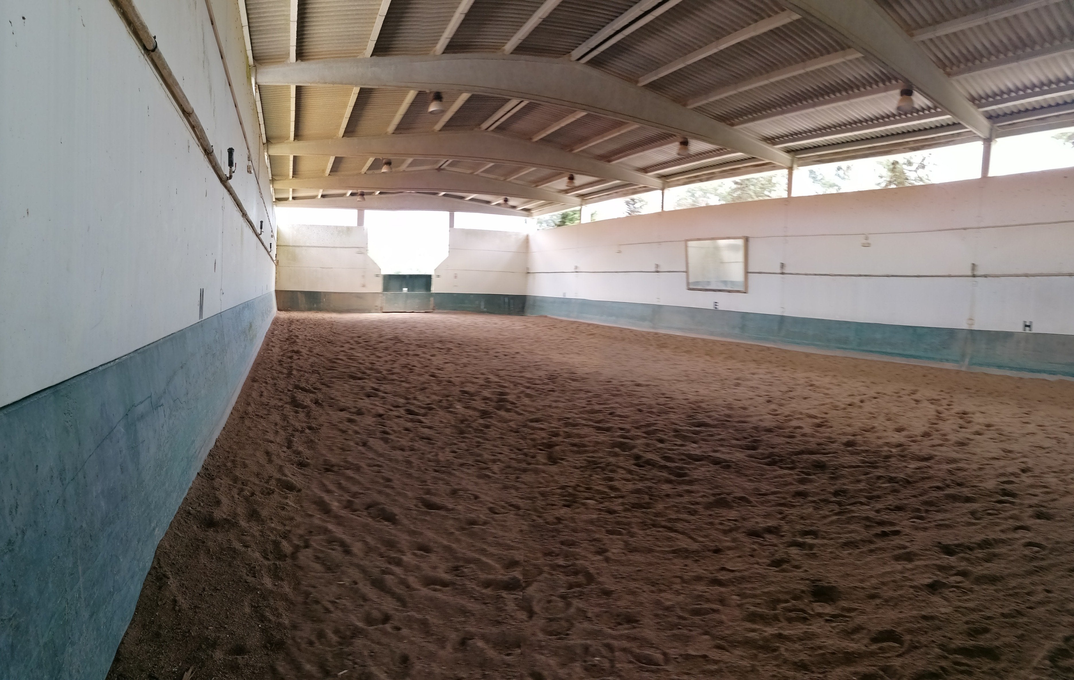 Lusitano Xperience - horseXperiences™ GO EQUESTRIAN