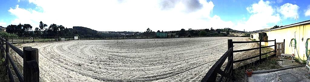 Lusitano Xperience - horseXperiences™ GO EQUESTRIAN