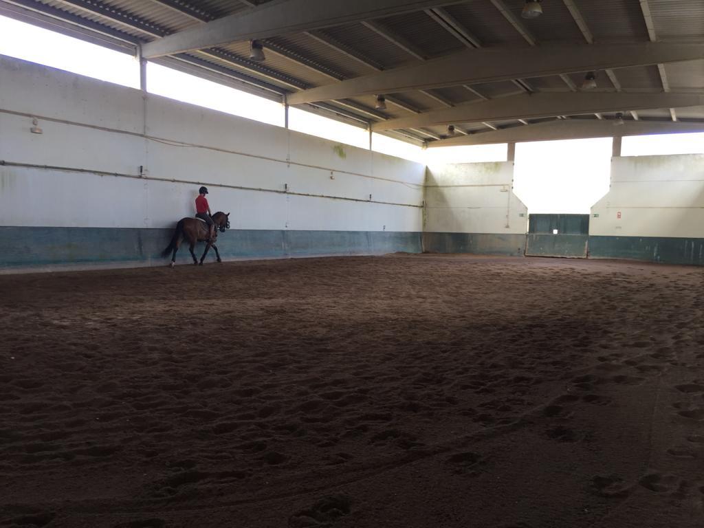 Lusitano Xperience - horseXperiences™ GO EQUESTRIAN