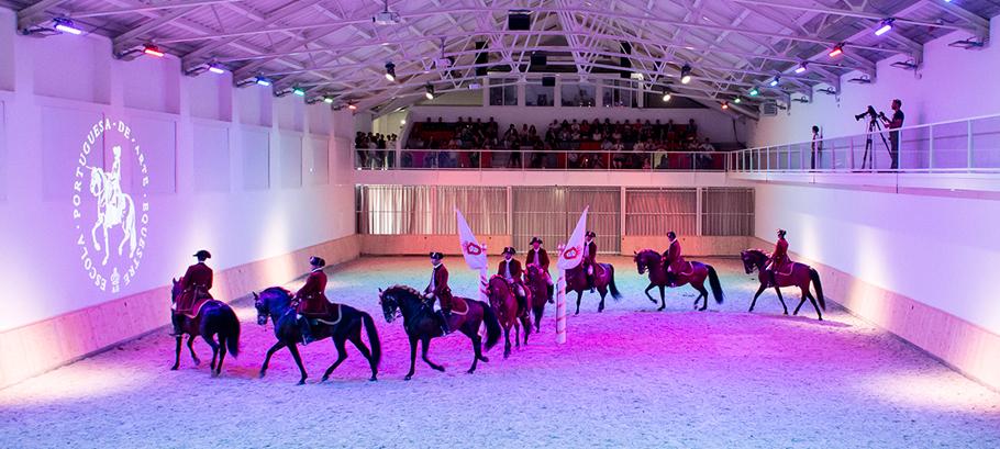 Lusitano Xperience - horseXperiences™ GO EQUESTRIAN